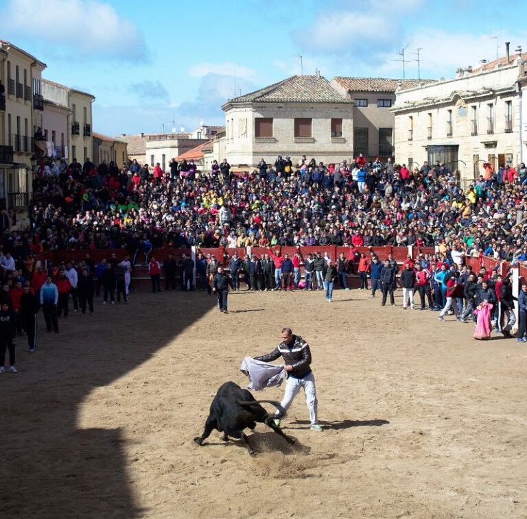 La Junta declara la tradicional y artesanal construcción del coso taurino de Ciudad Rodrigo, en Salamanca, Bien de Interés Cultural de carácter inmaterial