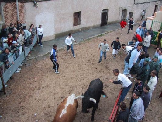 Descubre los pueblos de la provincia que celebran toros este fin de semana
