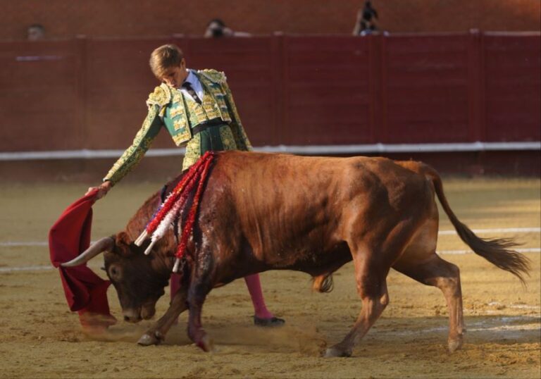 Castilla y León da un paso adelante en la regulación de espectáculos taurinos
