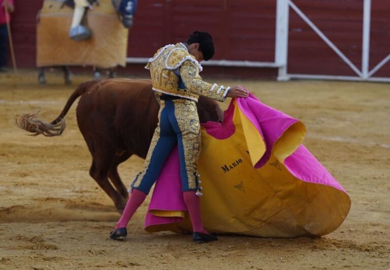 PACMA solicita reunión urgente con Urtasun para acabar con la ley que protege la tauromaquia en España