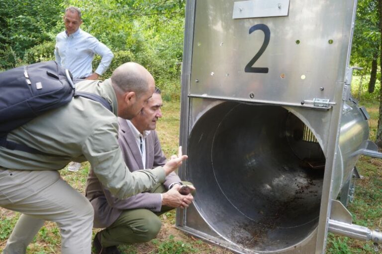 Junta destaca esfuerzos en conservación del oso pardo y su coexistencia con humanos en Galicia, Asturias y Cantabria