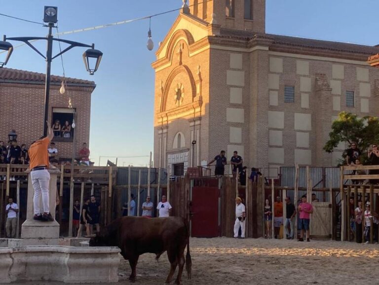 Diez días de fiesta en Serrada para celebrar las Fiestas de los Novillos