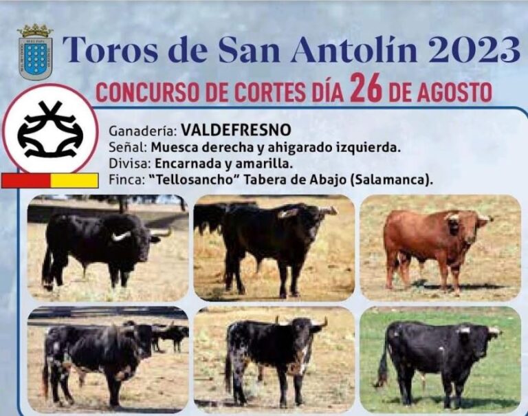 28 cortadores desafiarán la destreza de los toros de Valdefresno en Medina del Campo