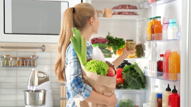 Consejos para conservar bien los productos alimenticios en verano y evitar intoxicaciones