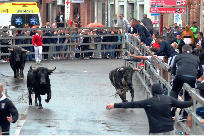 Vuelven un año más las retransmisiones de los Encierros tradicionales de San Antolín de onda Medina Castilla y León en el 93.7 FM