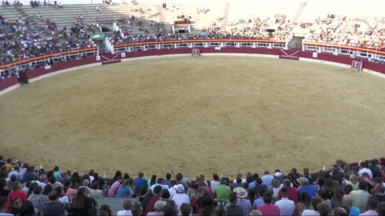 Concurso Nacional de Cortes en Medina – Semifinal