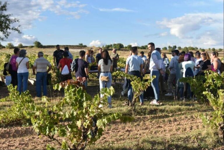 Cigales se viste de tradición y cultura en su XLIII Fiesta de la Vendimia