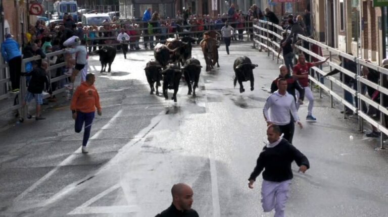 Los toros de la ganadería Hermanos Martín Alonso protagonizan un apasionante segundo encierro en Medina del Campo