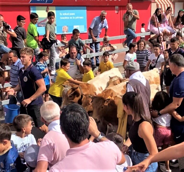 Los ‘Chiquicabestros’ vuelven por el Día del Niño a Medina del Campo 