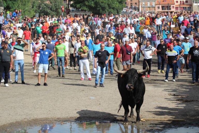 ‘Mirabajo’ protagoniza un peligroso y accidentado Toro de la Vega en Tordesillas