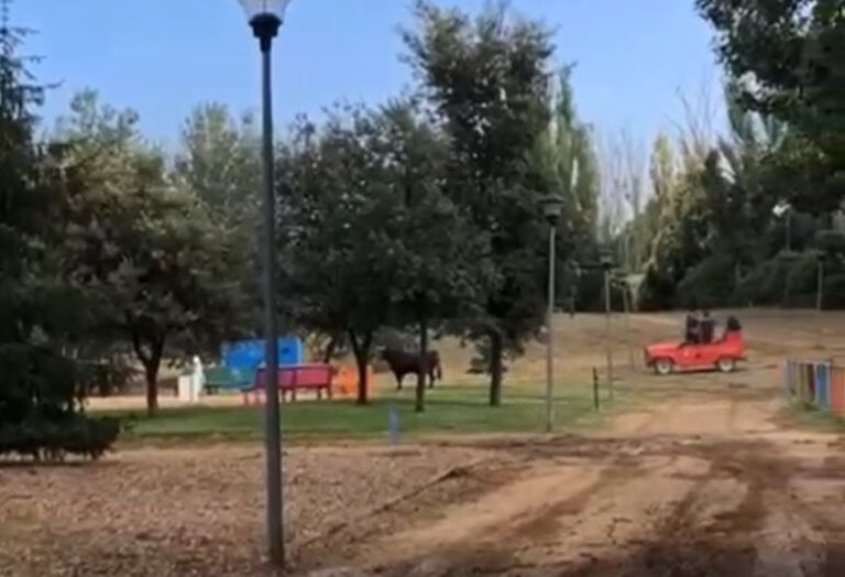 Aspectos a mejorar en los encierros de Medina del Campo en base a la Ordenanza Reguladora de Encierros