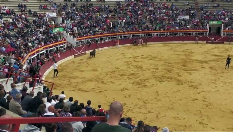Medina del Campo llega al ecuador de sus fiestas de San Antolín