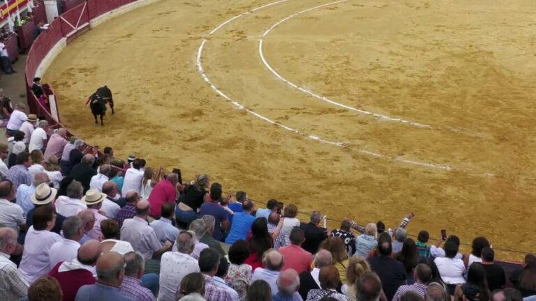 Fandilla se marca un par de banderillas de escándalo en Medina del Campo