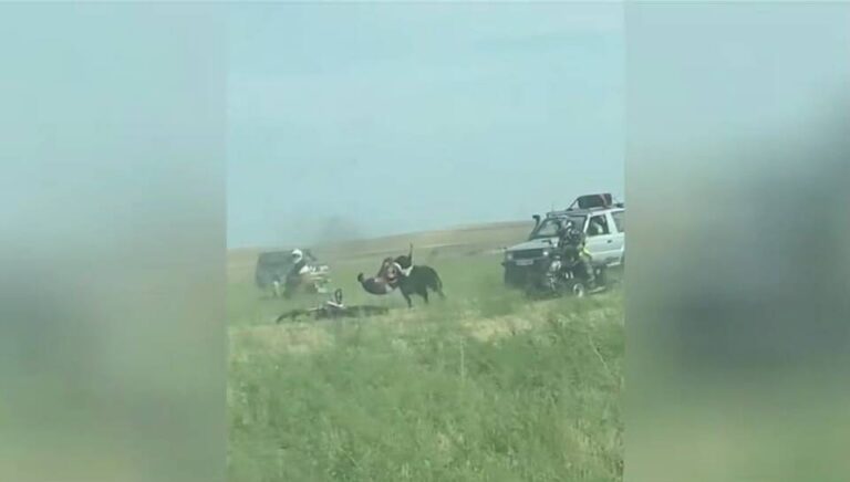 Un toro embiste a un motorista en un encierro en la comarca de Medina