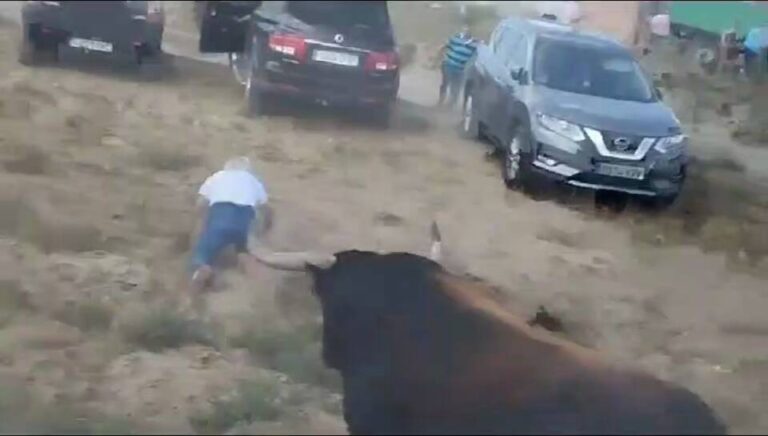 Vídeo con imágenes exclusivas del momento donde el Toro de la Vega se escapa y cornea a varios espectadores