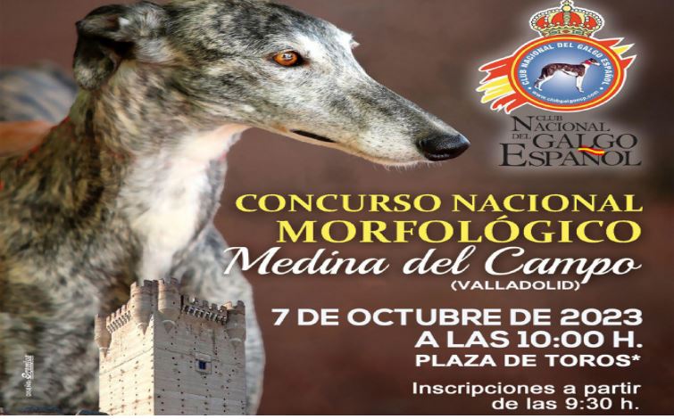 Medina del Campo celebra este 7 de octubre el Concurso nacional Morfológico del Club Galgo español