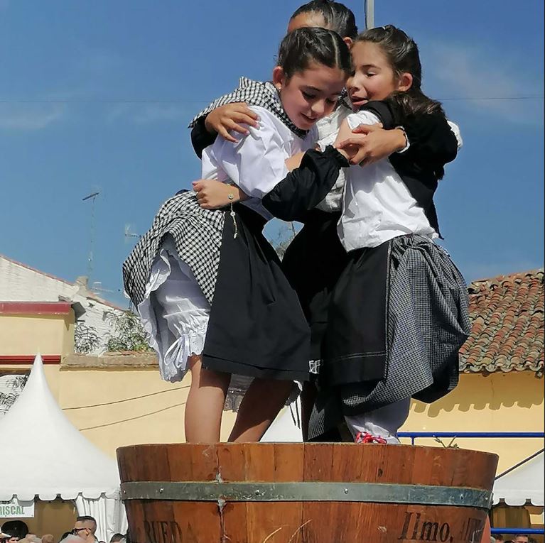 Rueda se prepara para la 33ª Fiesta de la Vendimia D.O. Rueda: Un homenaje a la verdejo y la tradición vitivinícola