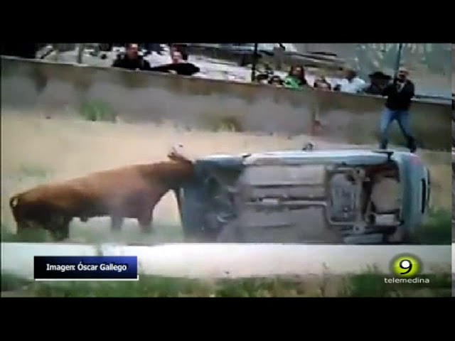 Puede un toro volcar un coche, este vídeo te da la respuesta