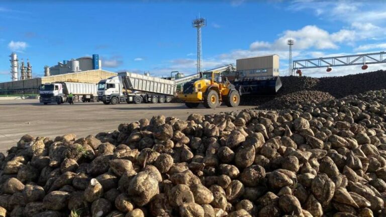 Acor obtiene un beneficio de 15,4 millones y sigue liderando el mercado del azúcar