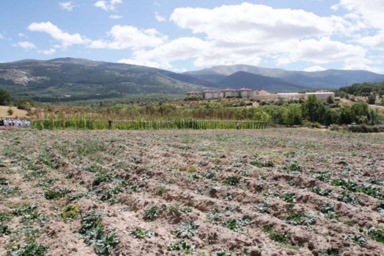 Casi 10.000 agricultores en Castilla y León obtienen préstamos bonificados por valor de 410 millones de euros para combatir la sequía