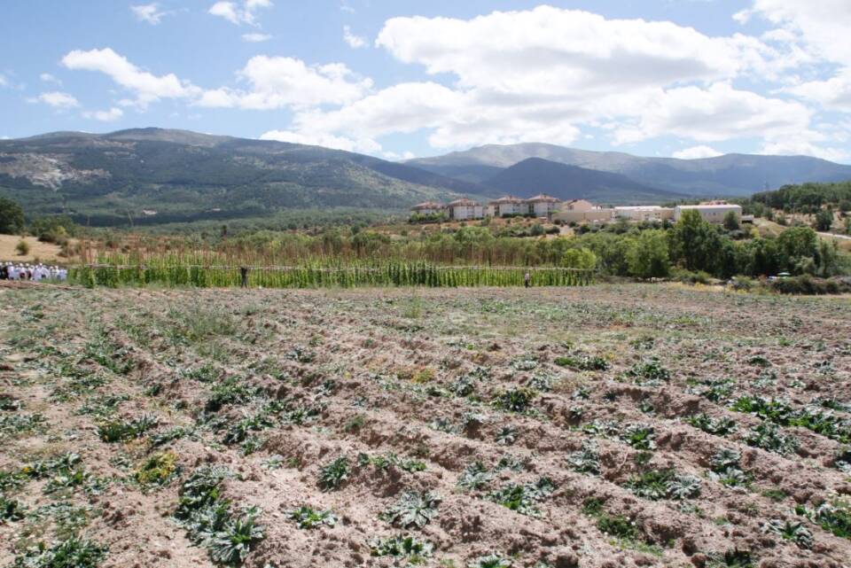 Agricultura