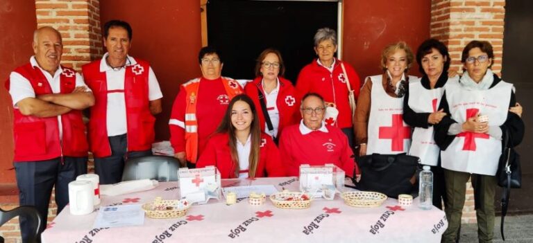 Cruz Roja en Olmedo celebra el ‘Día de la Banderita’ en apoyo a la infancia vulnerable