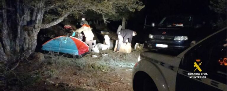Desalojo de acampada ilegal en Calatañazor: Guardia Civil actúa contra la recolección de setas en reserva natural