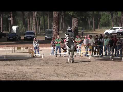 III Copa Diputación de Valladolid de Doma Vaquera