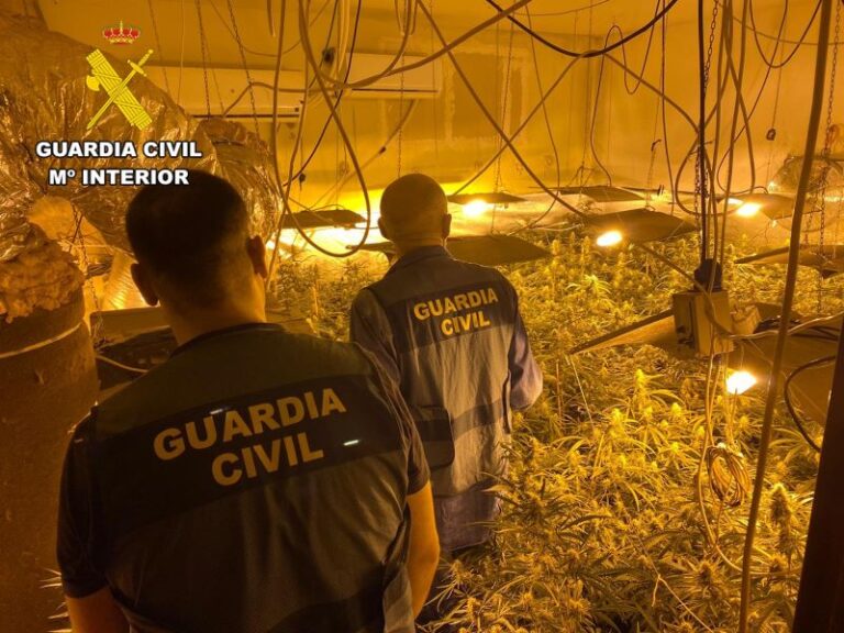 La Guardia Civil desmantela plantación «indoor» de marihuana y desarticula punto de venta