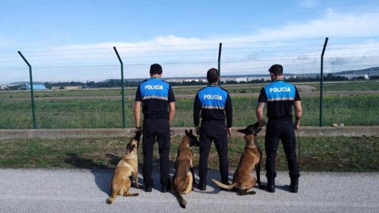 Agencia de Protección Civil y Emergencias impulsa formación para pomberos, policías locales y voluntarios en Castilla y León