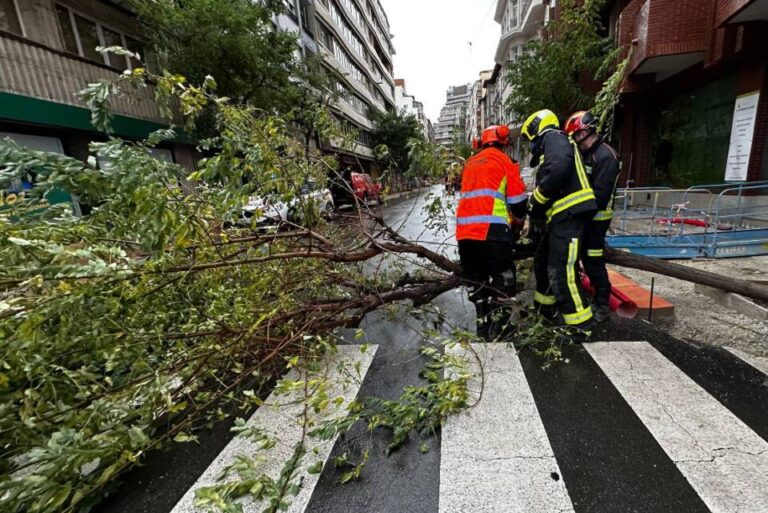 La Delegación remite al Gobierno 732 solicitudes de ayuda de las zonas afectadas por la borrasca ‘Juan’