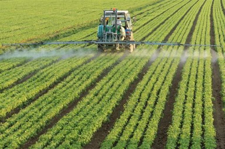 Éxito agrícola: El Parlamento Europeo rechaza el recorte del 50% en productos fitosanitarios