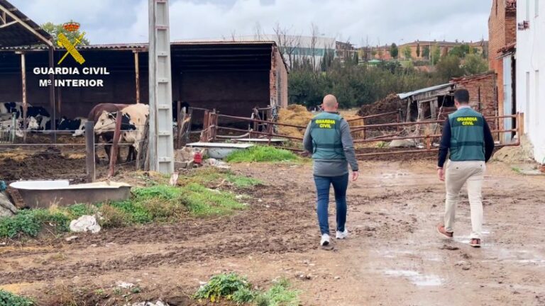 Castilla y León: Desmantelada una trama de fraude en subvenciones agrícolas y ganaderas de la Unión Europea