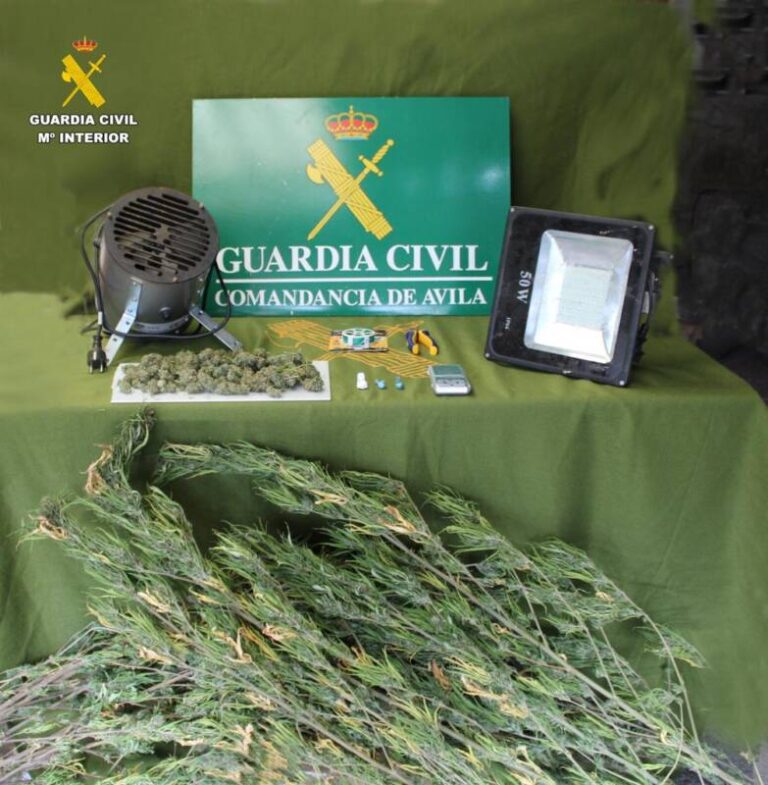 Descubren plantación de marihuana en Horcajo de las Torres: Operativo aéreo clave de la Guardia Civil