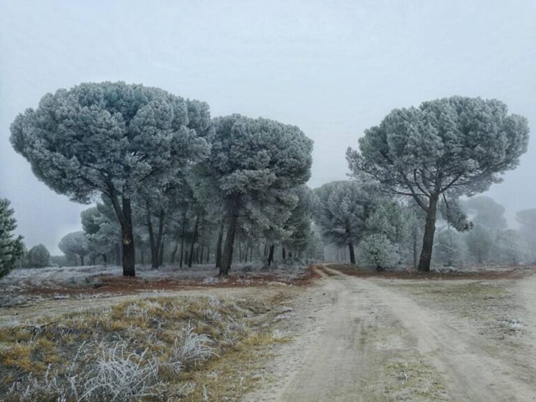 La Junta destina un millón de euros para formar a los sectores agrario, forestal y agroalimentario en Castilla y León