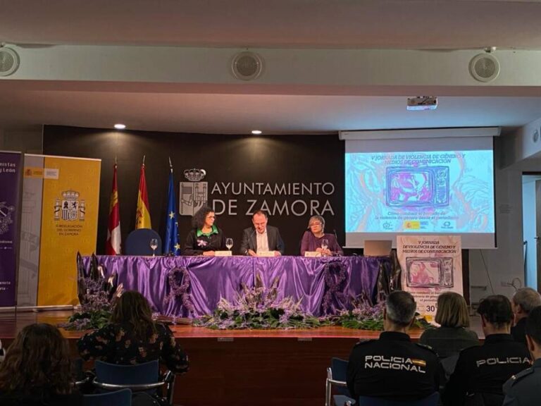 Periodistas de Castilla y León: Urgen medidas para combatir la banalización de la Violencia Machista