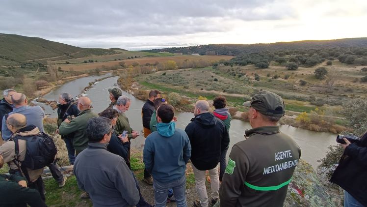 Castilla y León evalúa la vuelta del lince ibérico: Cañones del Duero y Cerrato en la mira