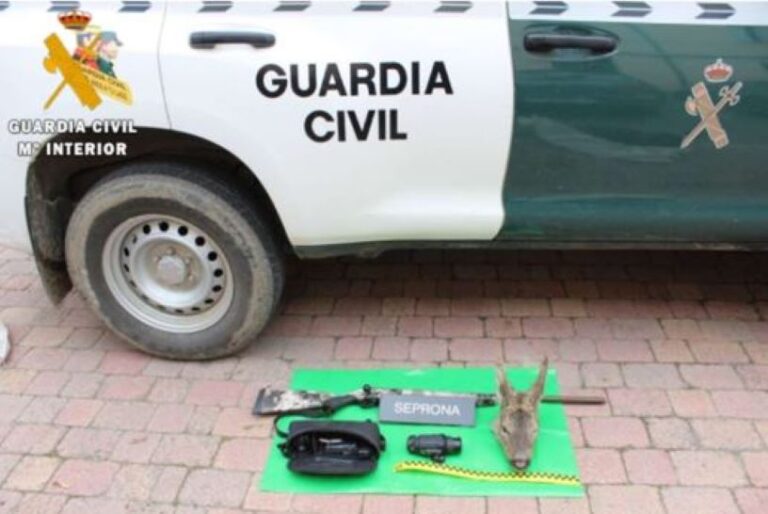 Investigación por caza furtiva en Segovia: La Guardia Civil desmantela una red ilegal tras el abatimiento de un corzo