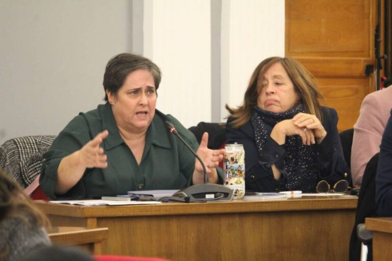El Consistorio no se pone de acuerdo en la moción sobre el control y cuidado de las colonias felinas