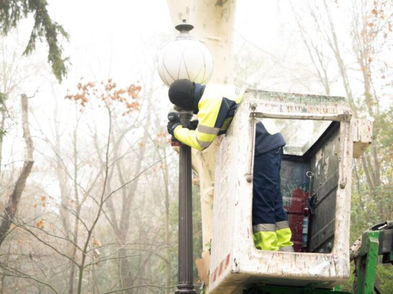 Valladolid brilla con luz propia: El Paseo del Príncipe del Campo Grande se ilumina con tecnología LED