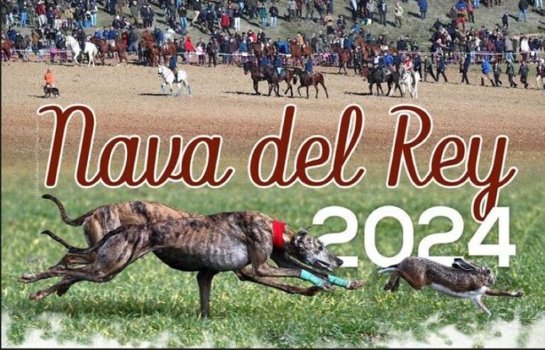 El encanto y la dureza de los correderos castellanos: Legado y emoción en cada campeonato de galgos