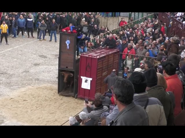 Toros de San Nicolás 2023 – Madrigal de las Altas Torres