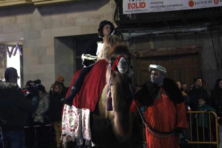 Ocas, pavos y dromedarios entre los protagonistas del Desfile de los Pajes Reales en Medina del Campo 