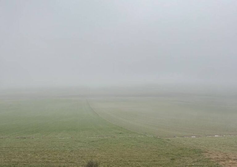 La niebla envuelve Castilla y León y complica la visibilidad en varias provincias