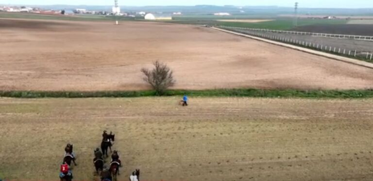 La falta de libres y la niebla alargan el Campeonato Nacional de Galgos