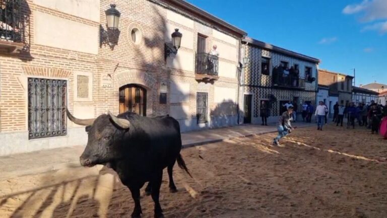 Horcajo de las Torres celebra el «Toro de San Julián»