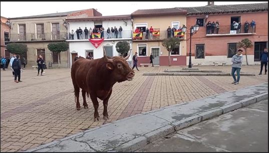 Siete Iglesias de Trabancos calienta motores para celebrar San Pelayo con cinco días de fiesta, tradición y música