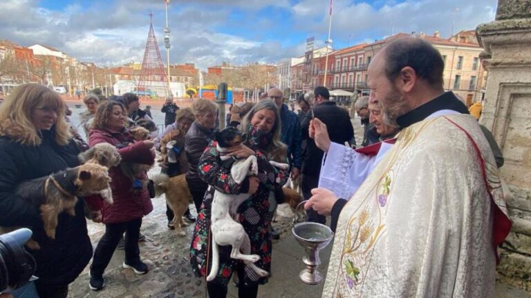 Por San Antón, las mascotas medinenses acuden a la bendición 