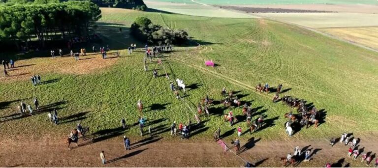 Siga en directo la Tercera Jornada – Cuartos de Final LXXXVI Campeonato de España Galgos en Campo
