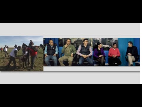 Última Hora – Campeonato de España de Galgos – Semifinales – Tertulia con los propietarios